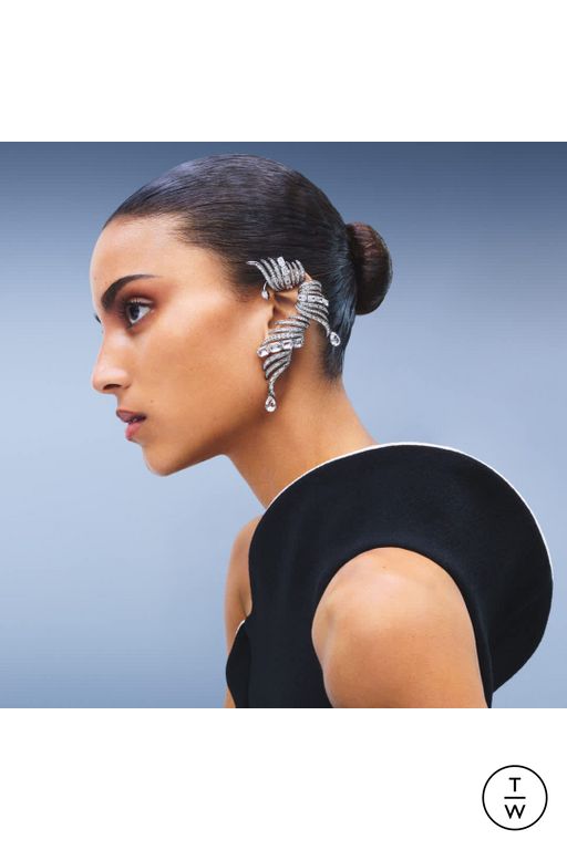 PF26 Swarovski Look 2