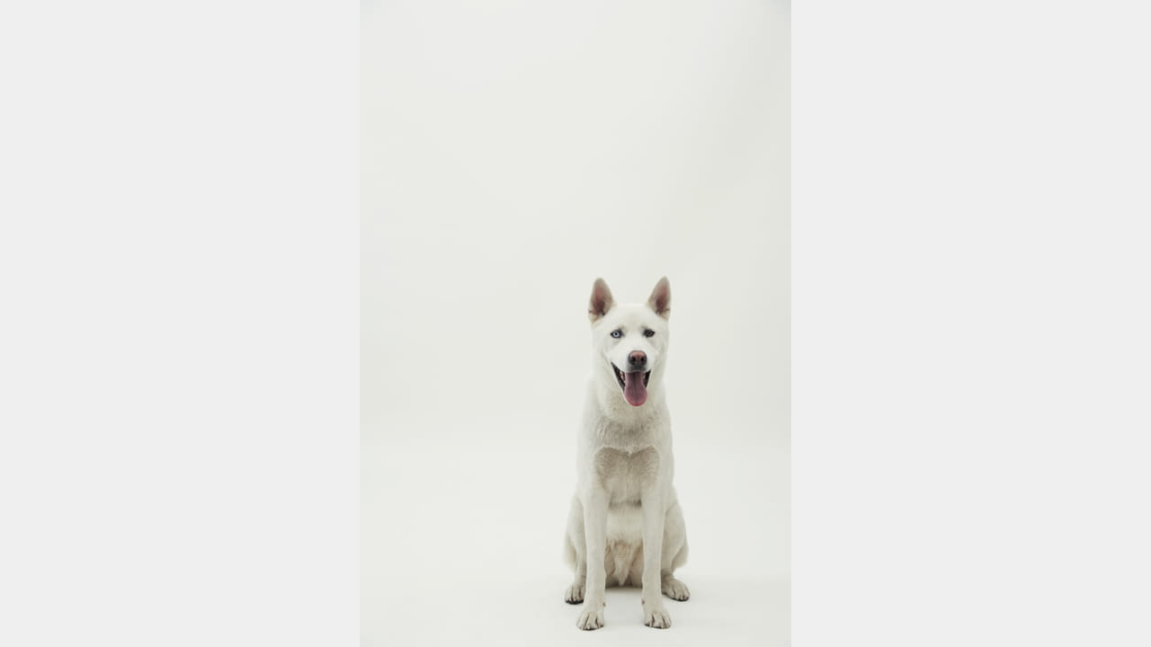 Teatum Jones x Brora illustration 6