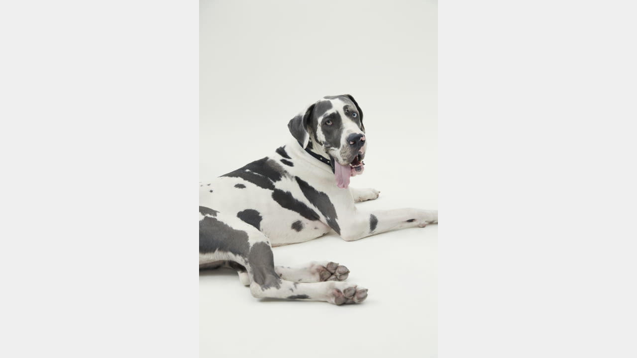 Teatum Jones x Brora illustration 16