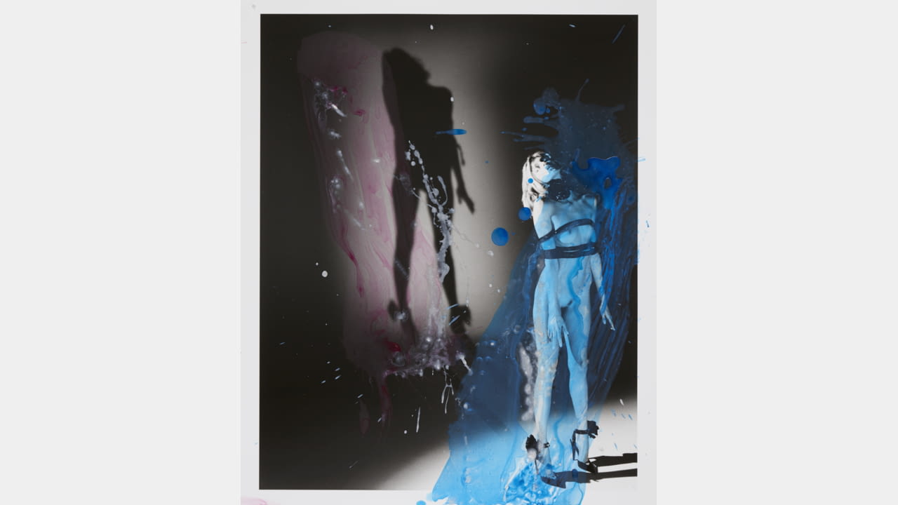 NOBUYOSHI ARAKI X SAINT LAURENT illustration 5