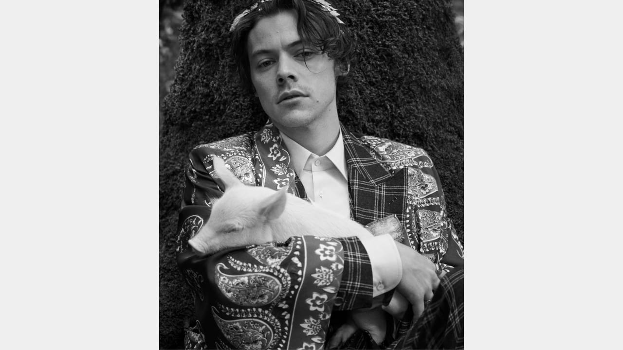 Harry Styles for Gucci’s Cruise 2019 Men’s Tailoring Campaign illustration 3