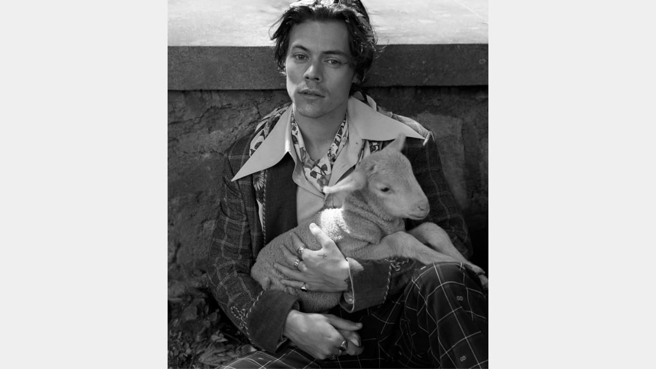 Harry Styles for Gucci’s Cruise 2019 Men’s Tailoring Campaign illustration 6