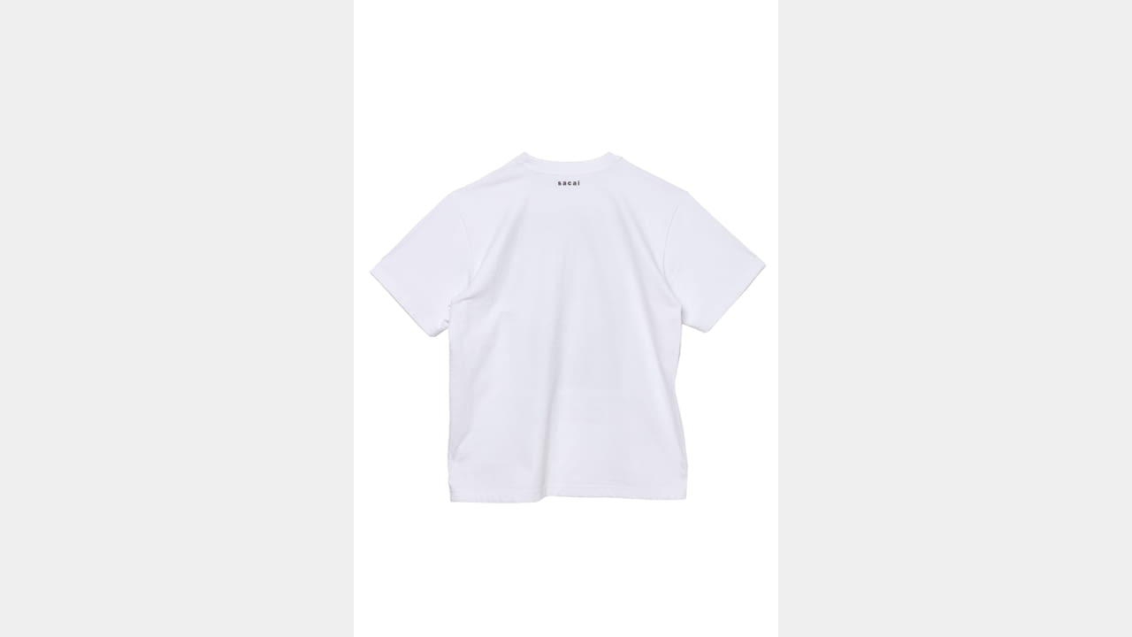 sacai x Albert Einstein T-shirt and hoodie illustration 7