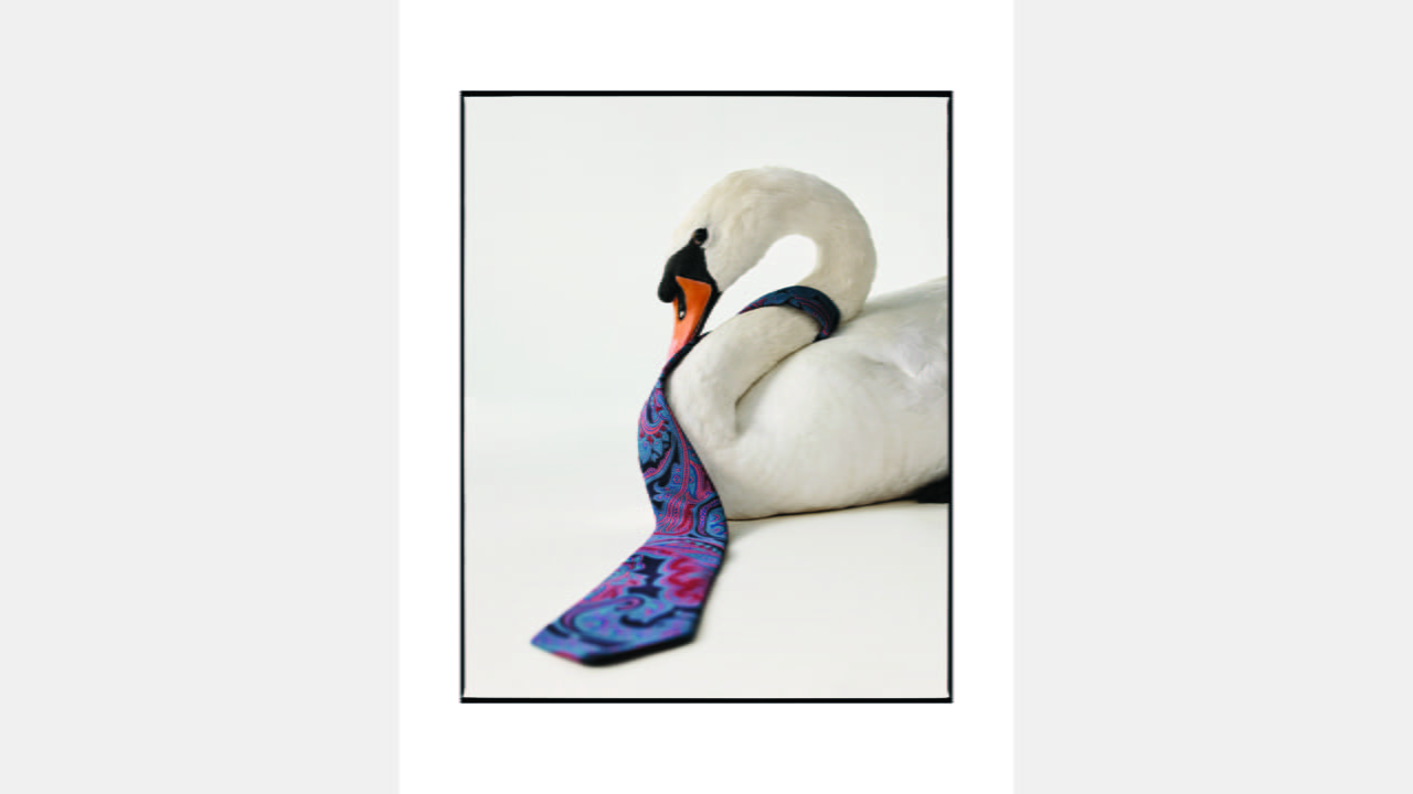 ETRO UNVEILS “WE ARE ALL ONE” illustration 3