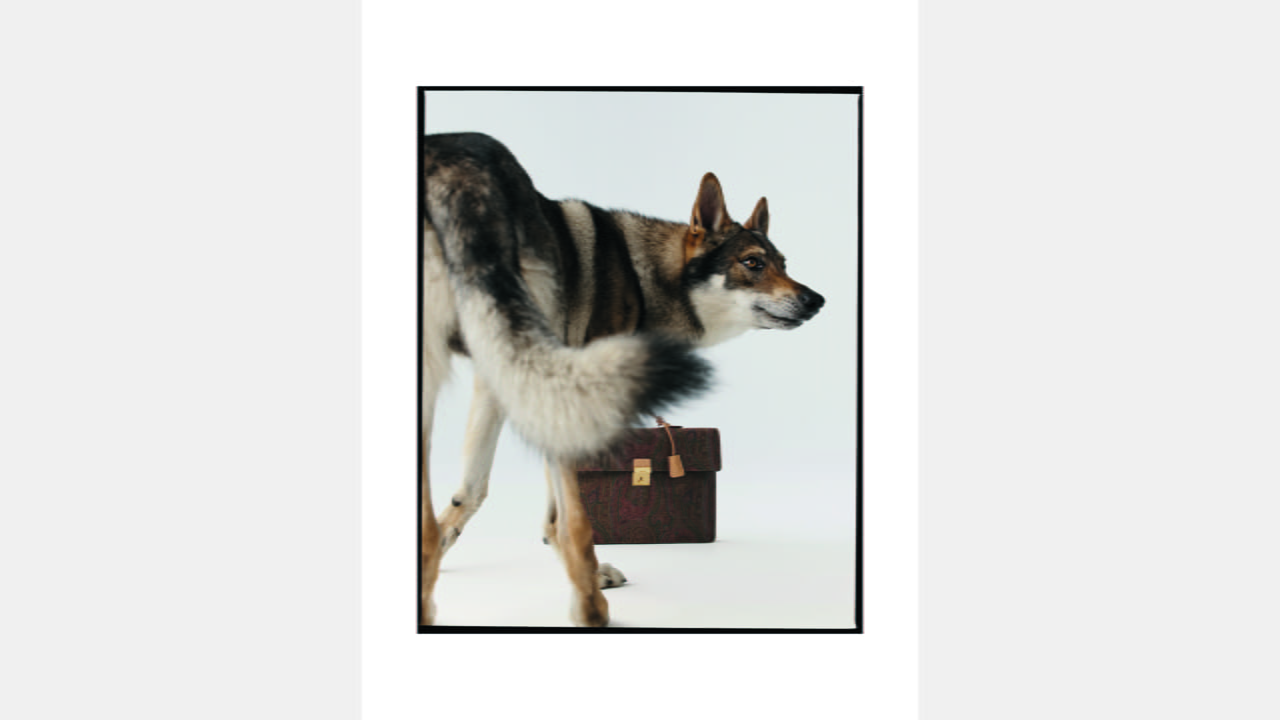 ETRO UNVEILS “WE ARE ALL ONE” illustration 4