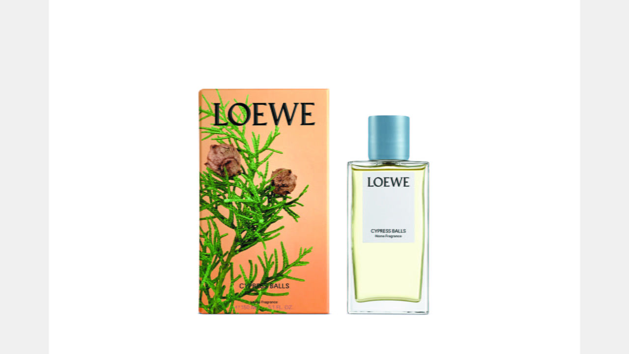 LOEWE’S NEW PLANT-BASED HOME SCENTS illustration 4