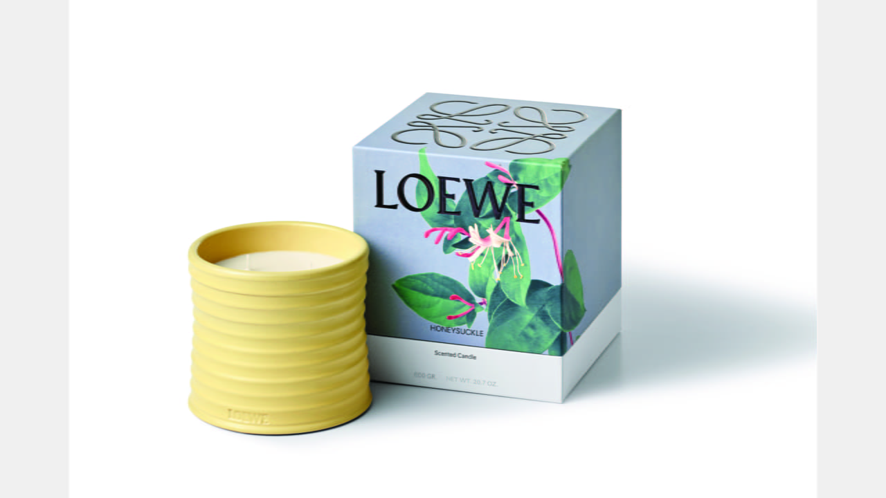 LOEWE’S NEW PLANT-BASED HOME SCENTS illustration 1