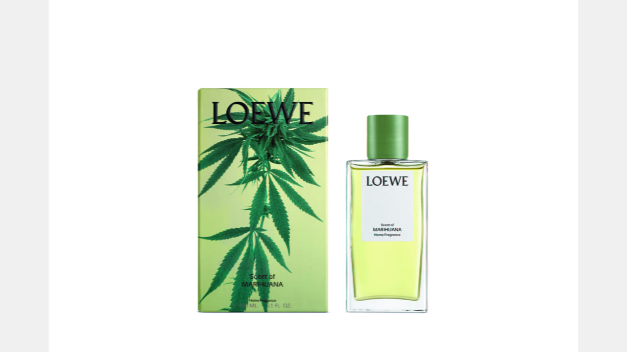 LOEWE’S NEW PLANT-BASED HOME SCENTS illustration 6