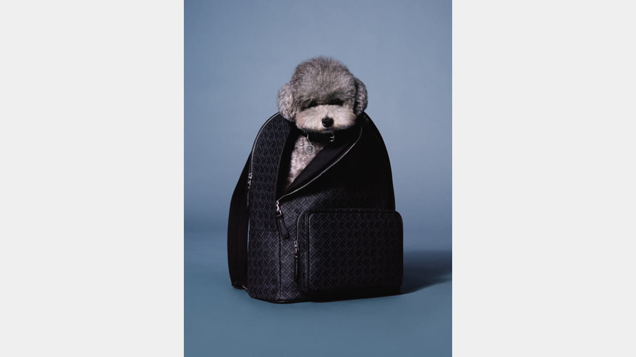 Dunhill 2020 Festive Campaign illustration 6