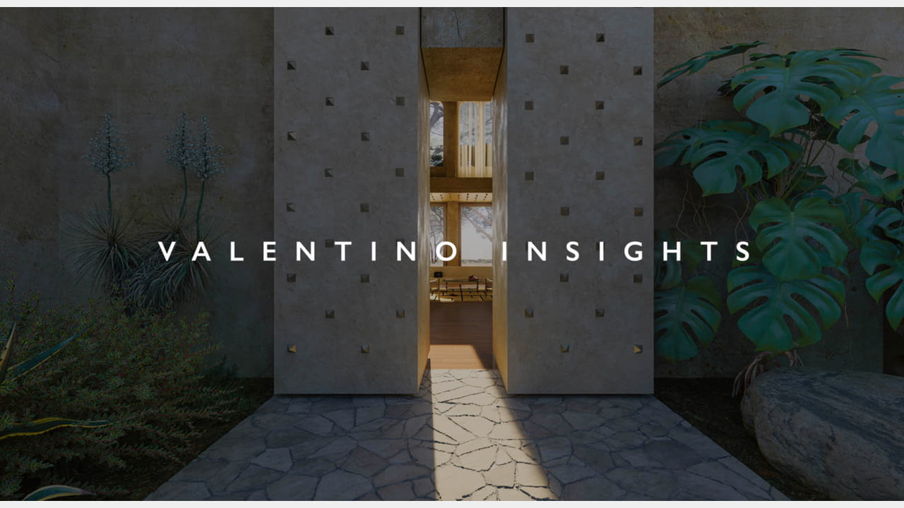 VALENTINO INSIGHTS illustration 1