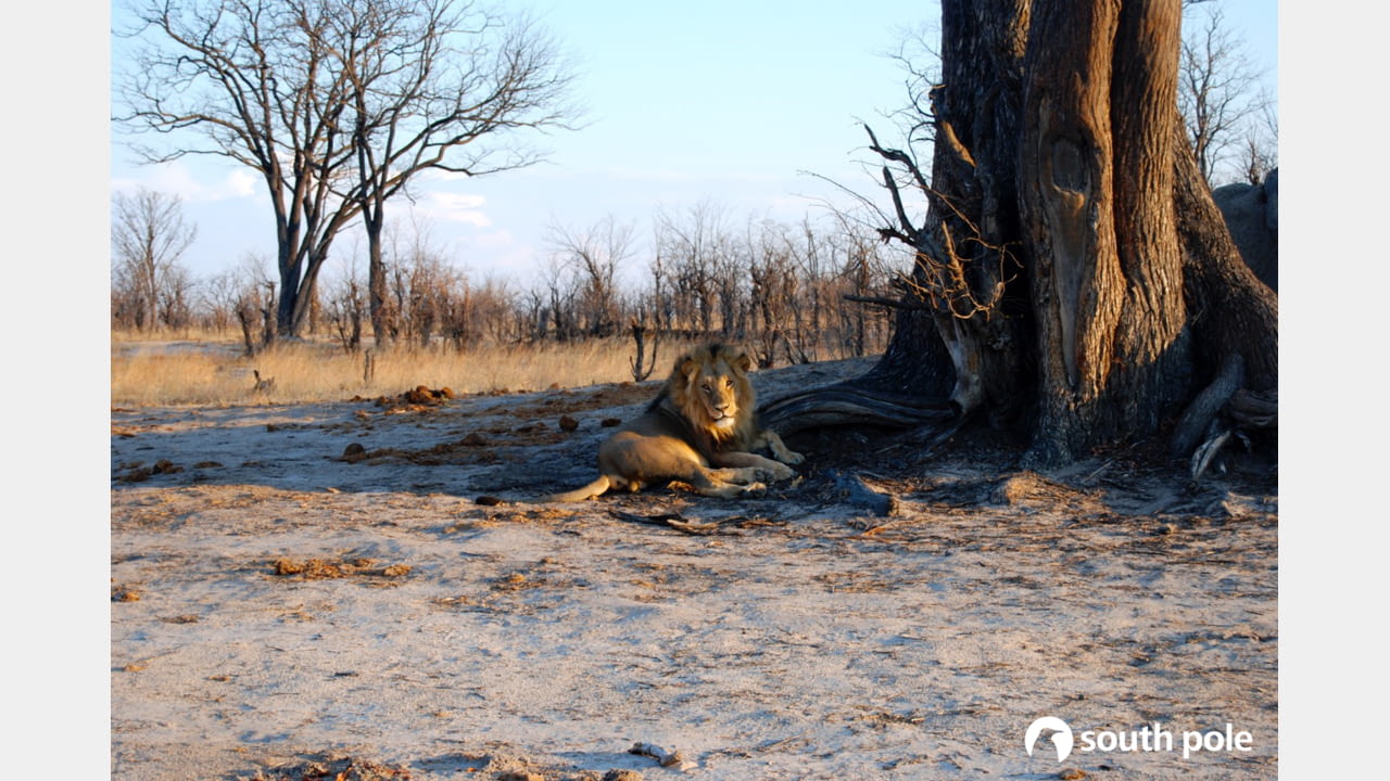 GUCCI UNVEILS NATURE-POSITIVE CLIMATE STRATEGY illustration 2