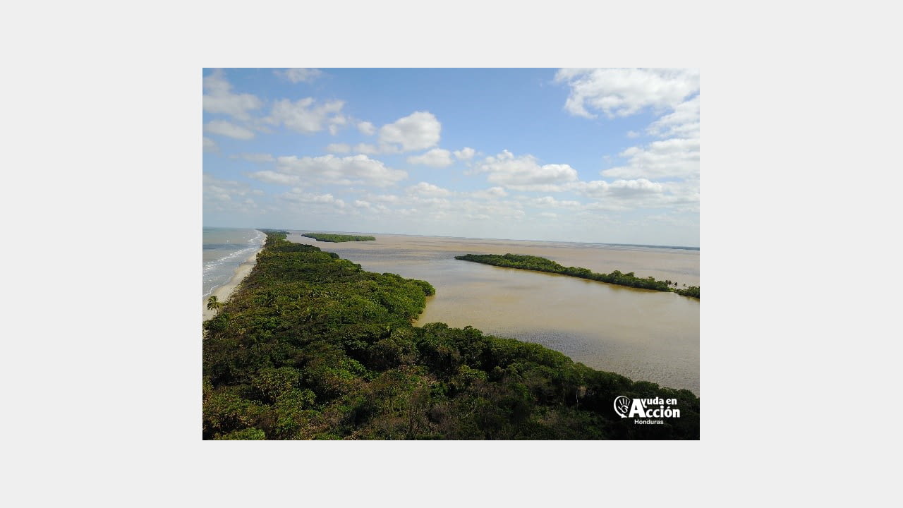 GUCCI UNVEILS NATURE-POSITIVE CLIMATE STRATEGY illustration 3