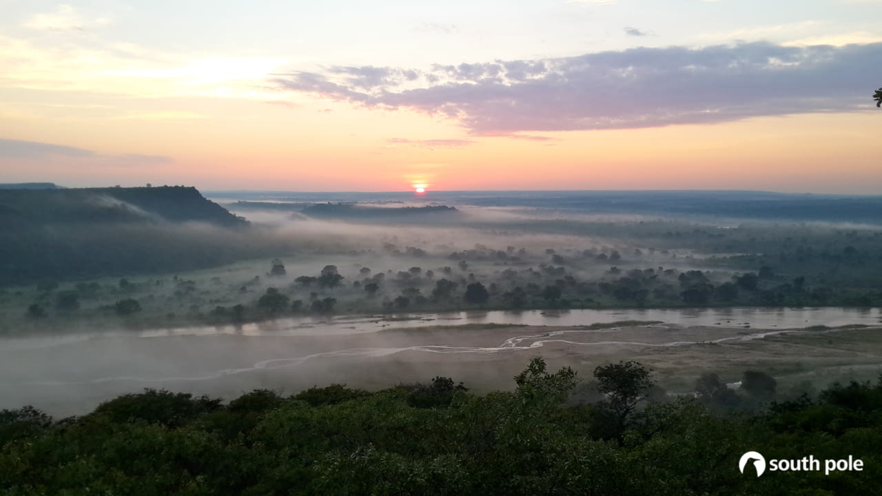 GUCCI UNVEILS NATURE-POSITIVE CLIMATE STRATEGY illustration 1