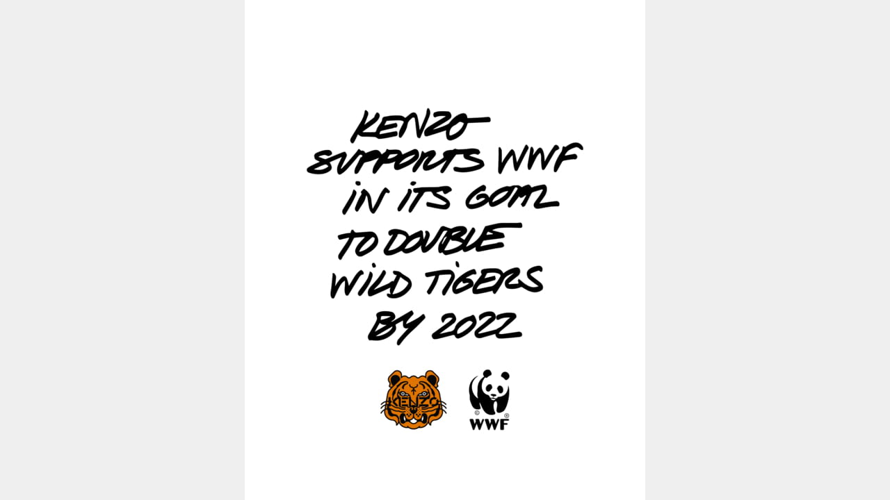 KENZO x WWF illustration 4