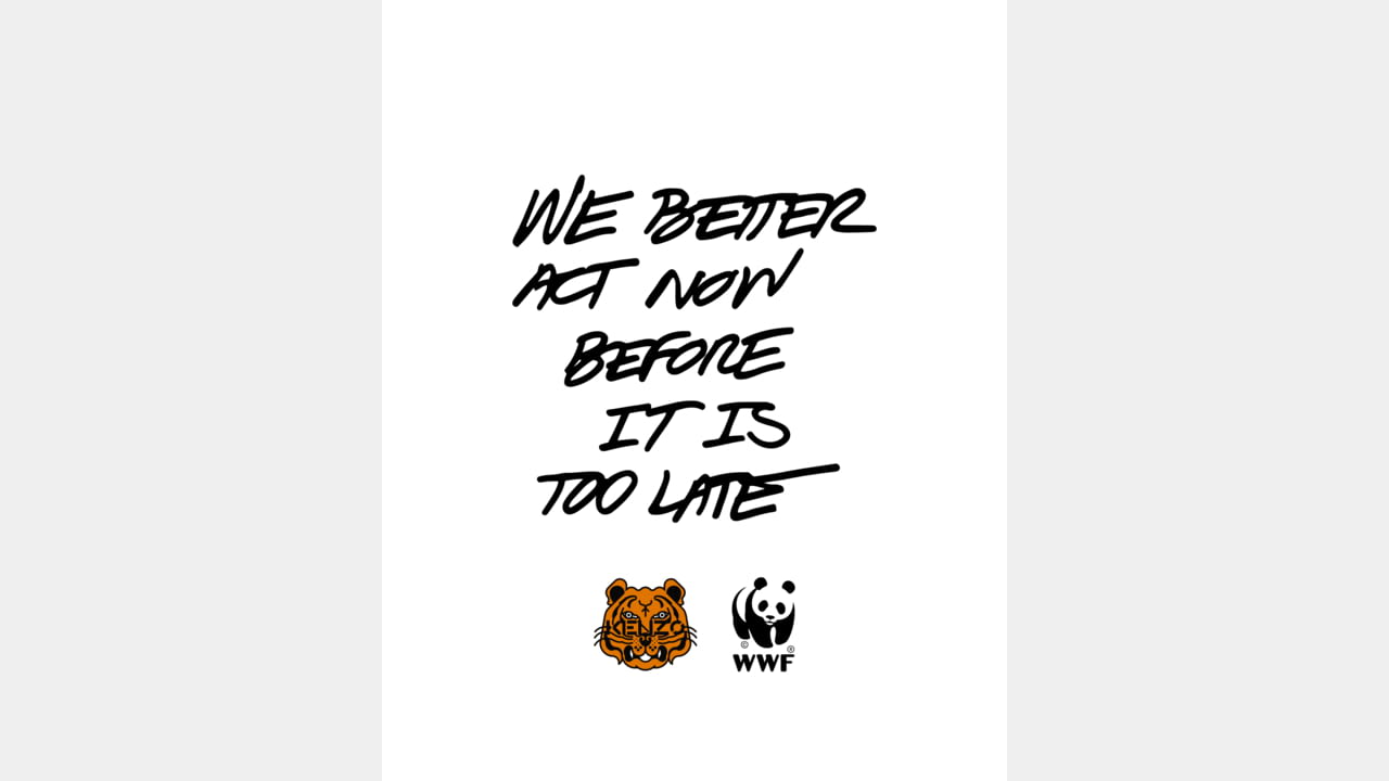 KENZO x WWF illustration 5