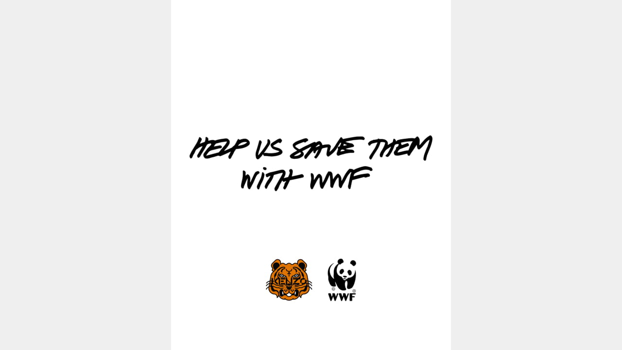 KENZO x WWF illustration 6