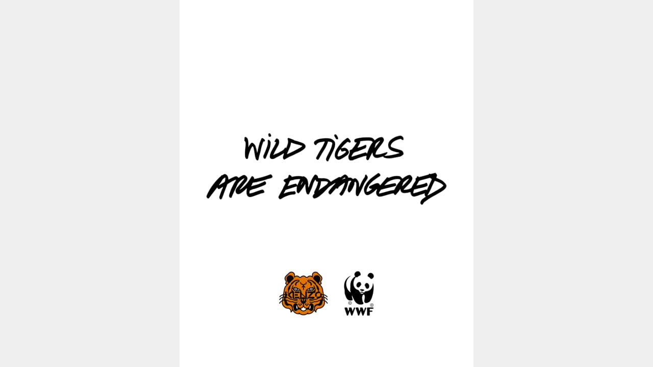 KENZO x WWF illustration 7