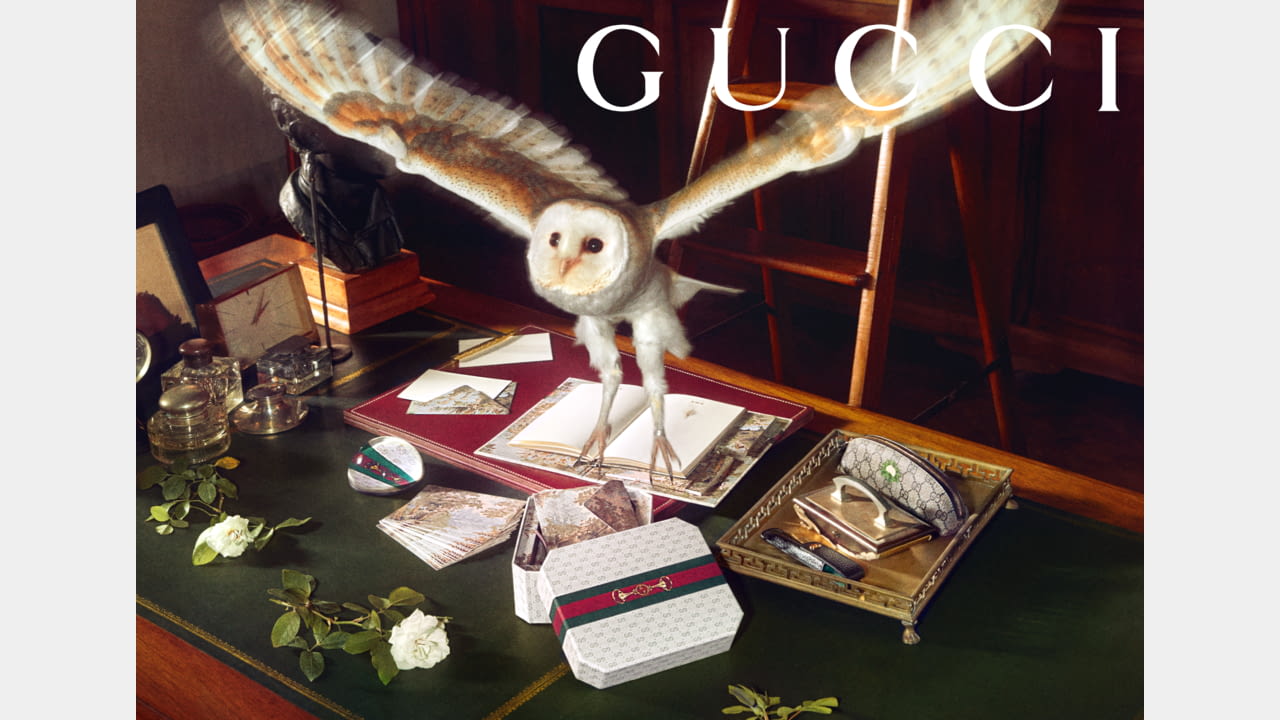 Gucci Lifestyle: A New Collection Inspired by the Magic of