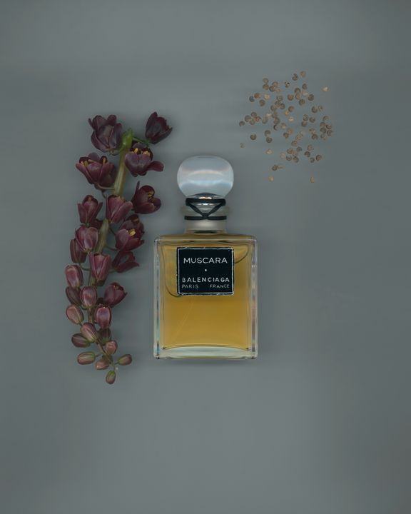 Balenciaga Fragrance Collection illustration 8