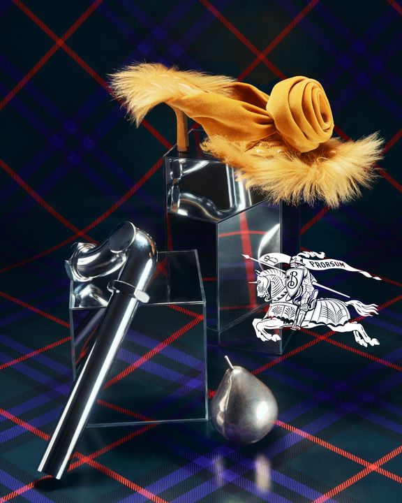 Burberry Holiday Campaign illustration 1