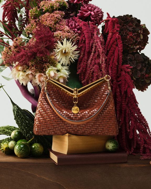 Etro Unveils The New Vela Bag Fall Campaign illustration 4