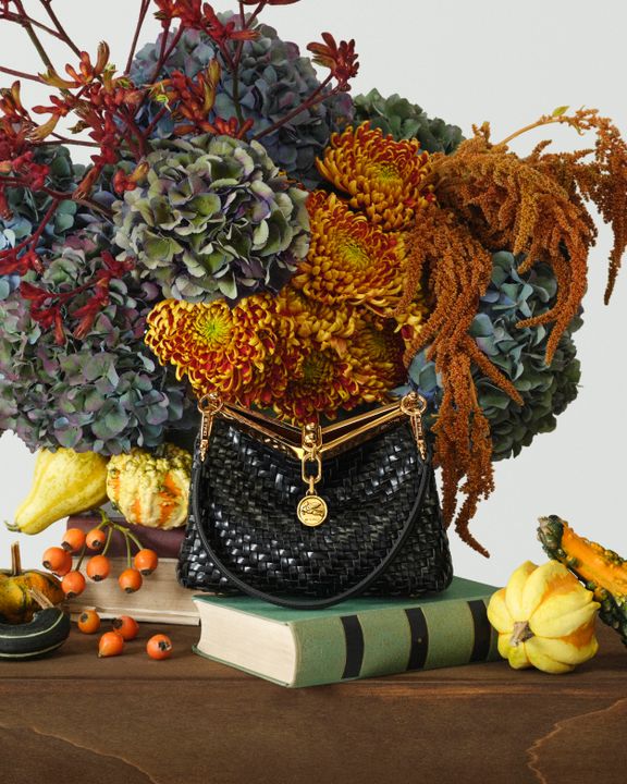 Etro Unveils The New Vela Bag Fall Campaign illustration 6