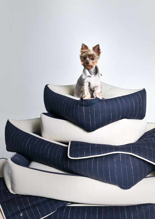 Giorgio Armani Continues The Collaboration With Poldo Dog Couture illustration 4