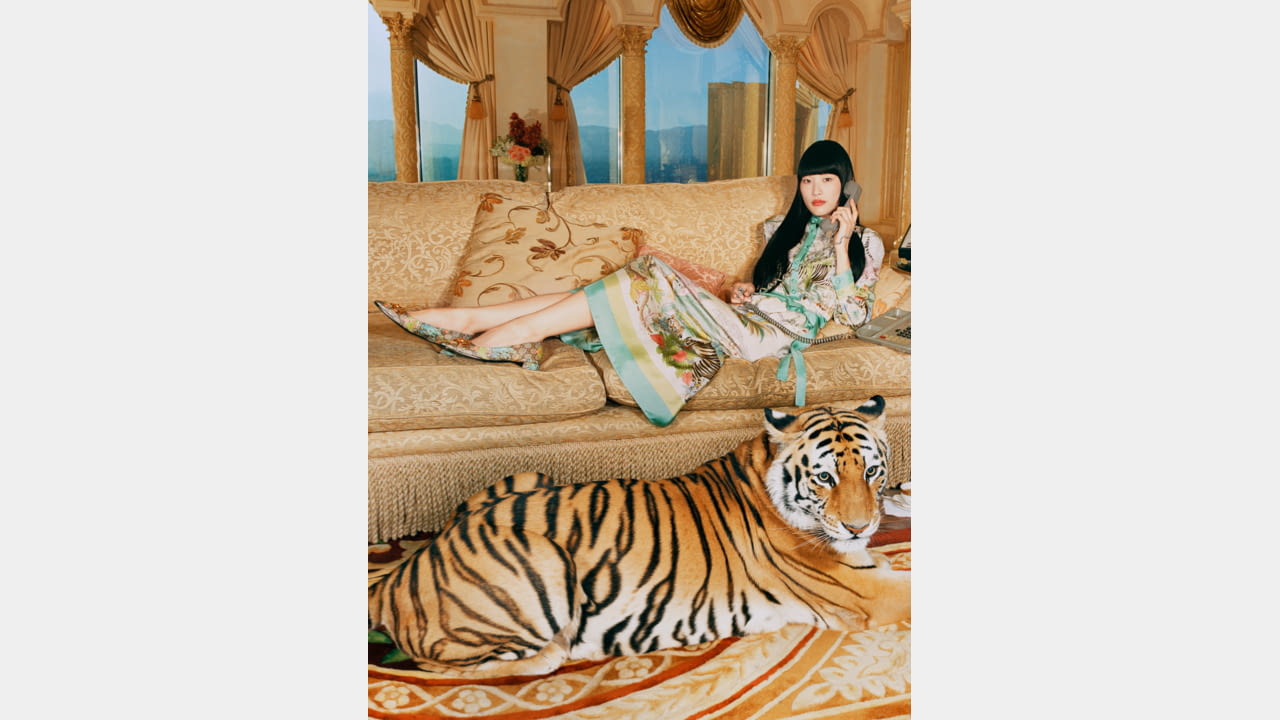 gucci on X: #GucciTiger, the collection to celebrate the Year of the Tiger,  presents a reinterpretation of a late 1960s archival print by Vittorio  Accornero featuring a tiger against a colorful backdrop