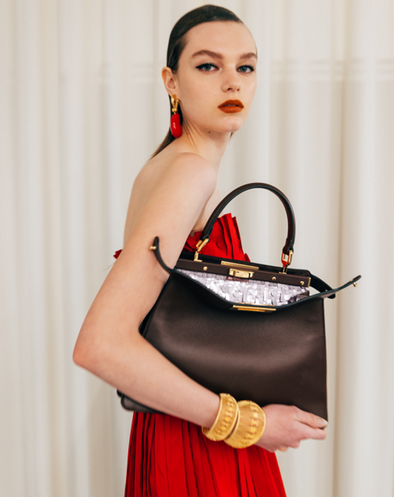 Fendi - Peekaboo Inner Beauty illustration 1