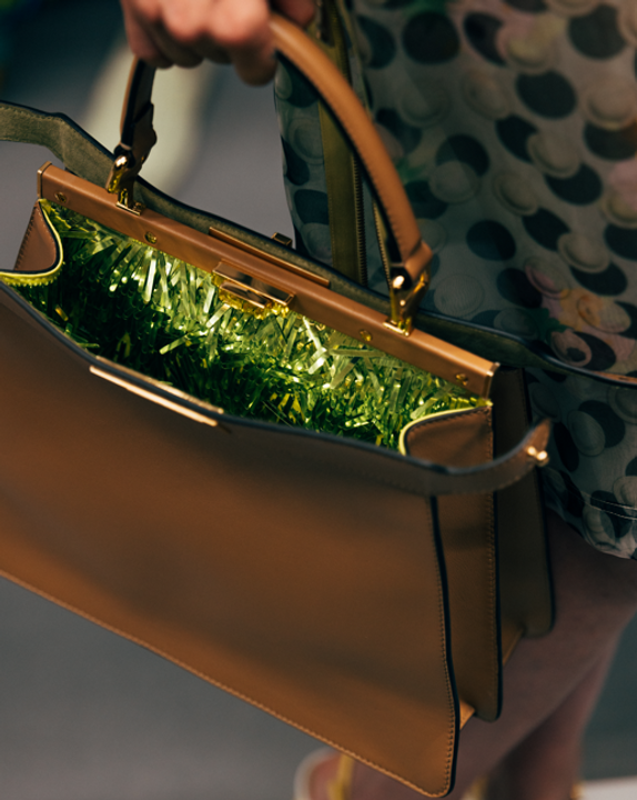 Fendi - Peekaboo Inner Beauty illustration 3