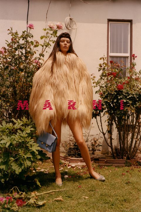 Marni Unveils New Fall/Winter 2024 Vol. 2 Campaign illustration 1