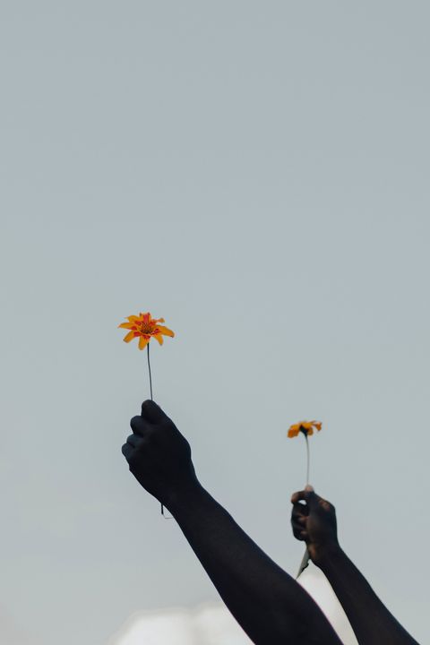 Saint Laurent / Rive Droite / Rachel Seidu Exhibition illustration 3