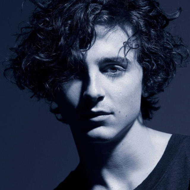 BLEU DE CHANEL - Timothée Chalamet will serve as the fragrance ambassador