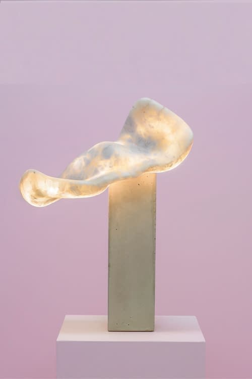 L2020 PRIVEEKOLLEKTIE CONTEMPORARY ART DESIGN 5