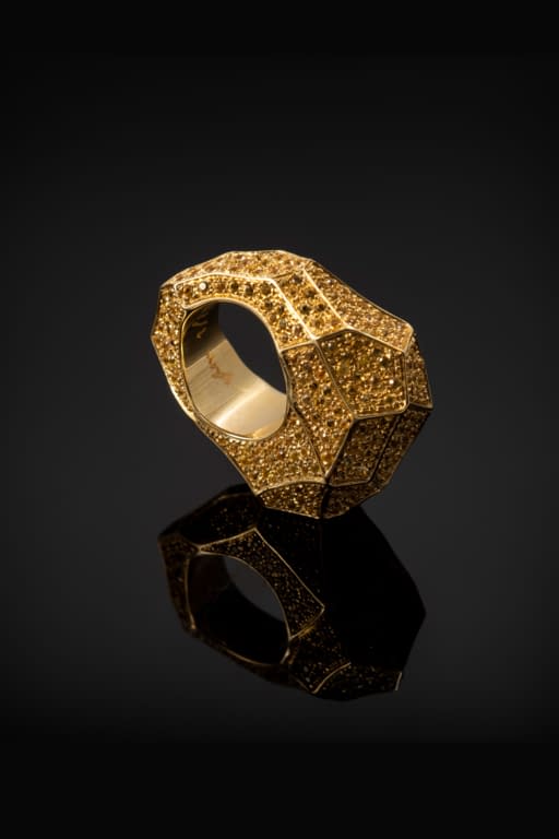 L2020 ELISABETTA CIPRIANI WEARABLE ART 9