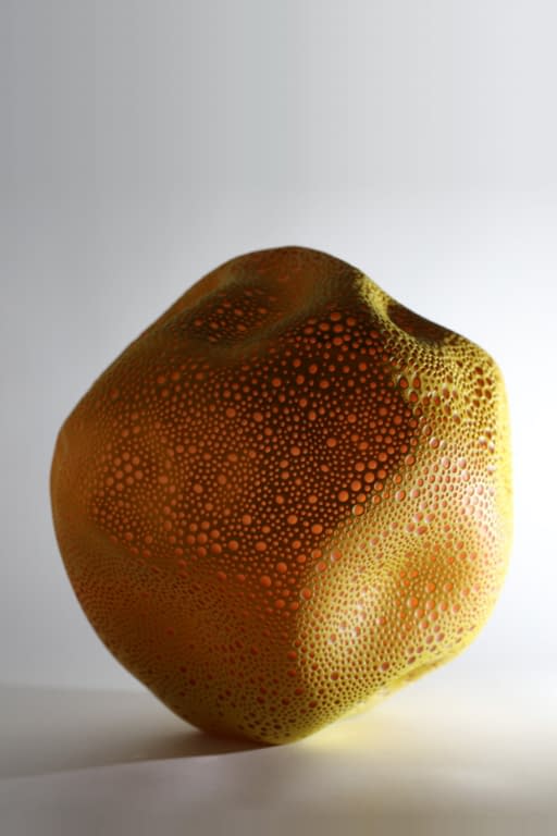 P2020 CLARA SCREMINI GALLERY 5