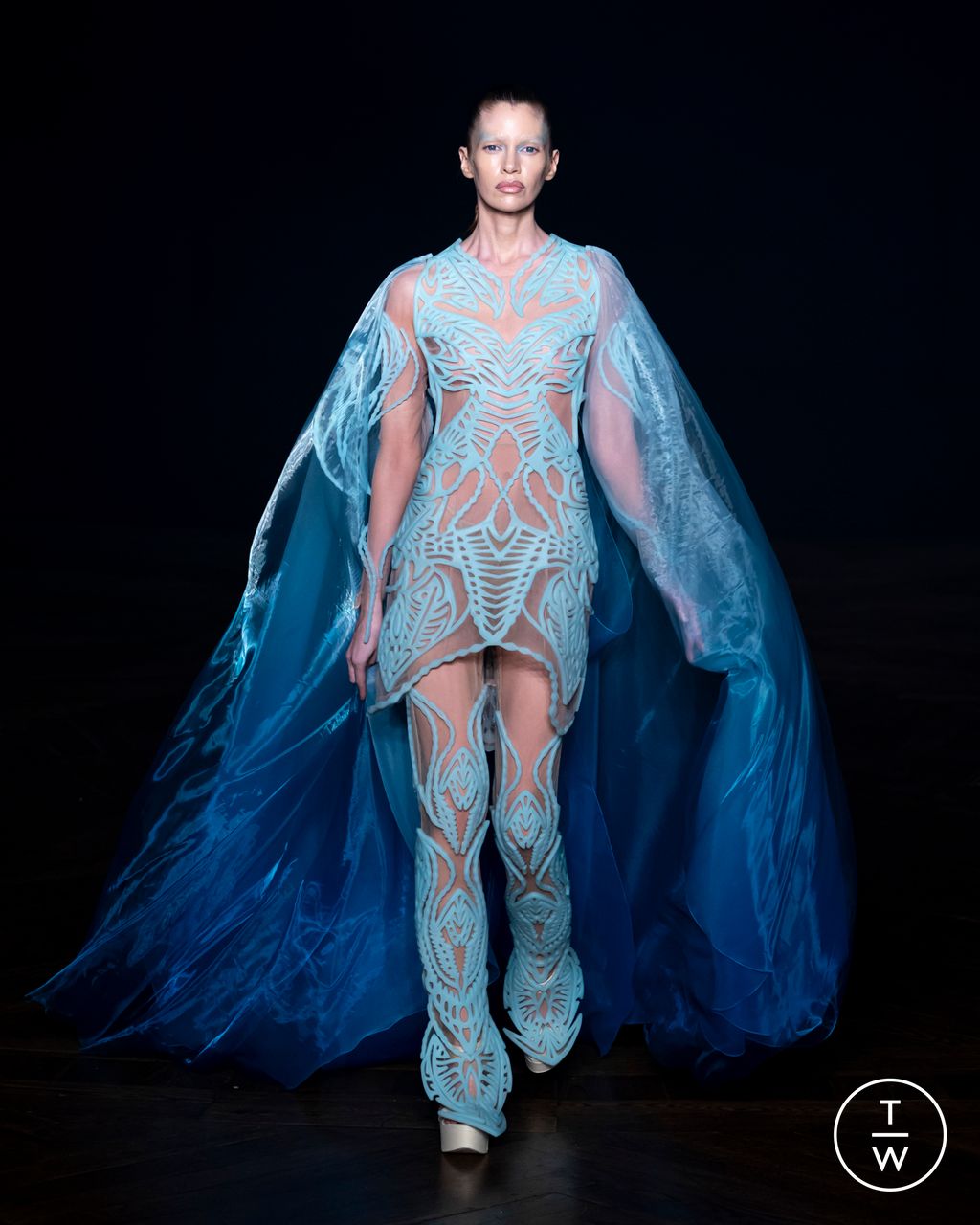 Fashion Week Paris Fall/Winter 2025 look 1 from the Iris Van Herpen collection couture