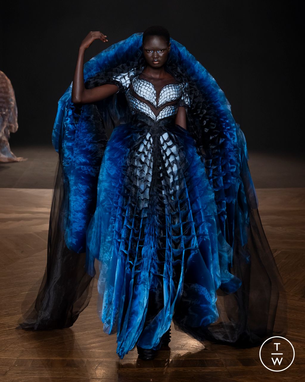 Fashion Week Paris Fall/Winter 2025 look 2 from the Iris Van Herpen collection couture