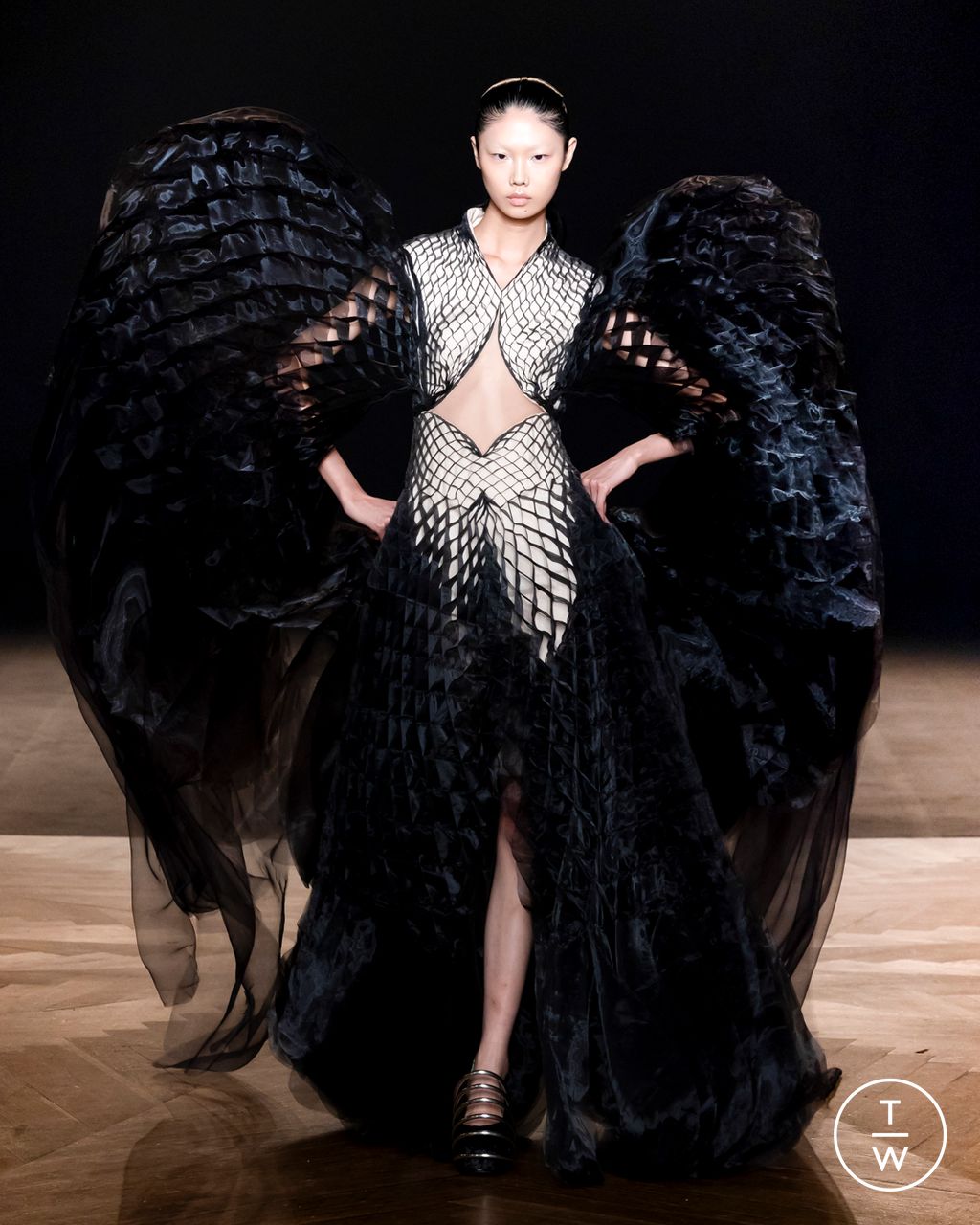 Fashion Week Paris Fall/Winter 2025 look 9 from the Iris Van Herpen collection couture