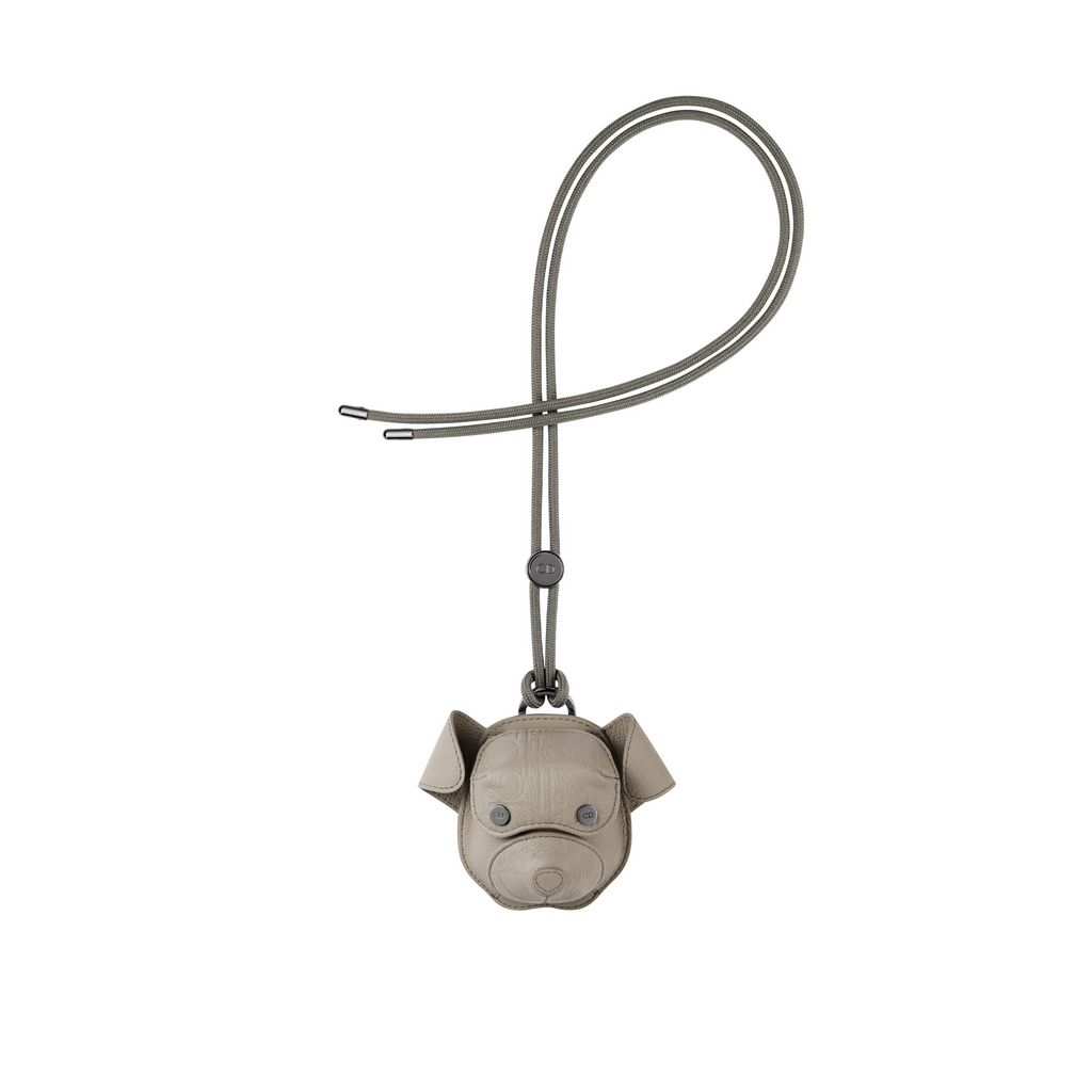 Fashion Week Paris Fall/Winter 2024 look 51 from the Dior Homme collection menswear accessories