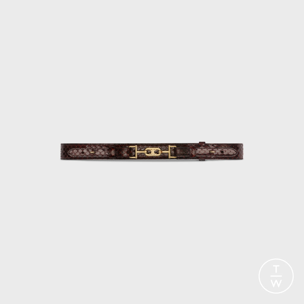 Fashion Week Paris Fall/Winter 2020 look 106 from the Celine collection womenswear accessories