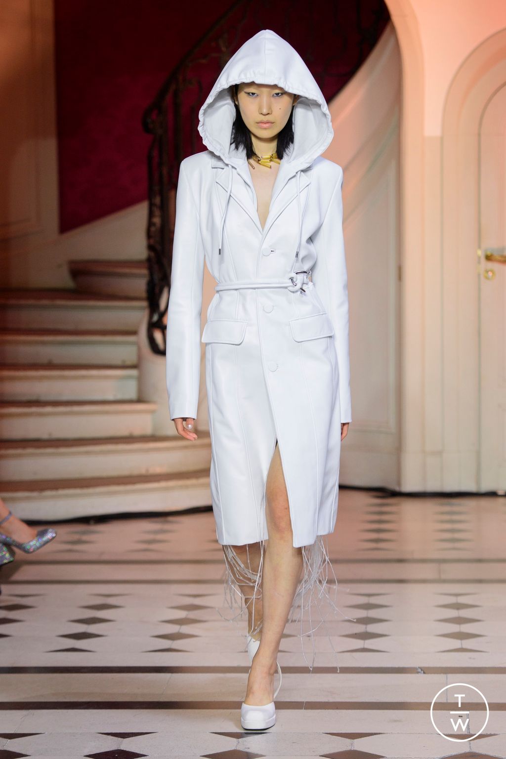Fashion Week Paris Spring/Summer 2023 look 7 from the Vaillant collection womenswear