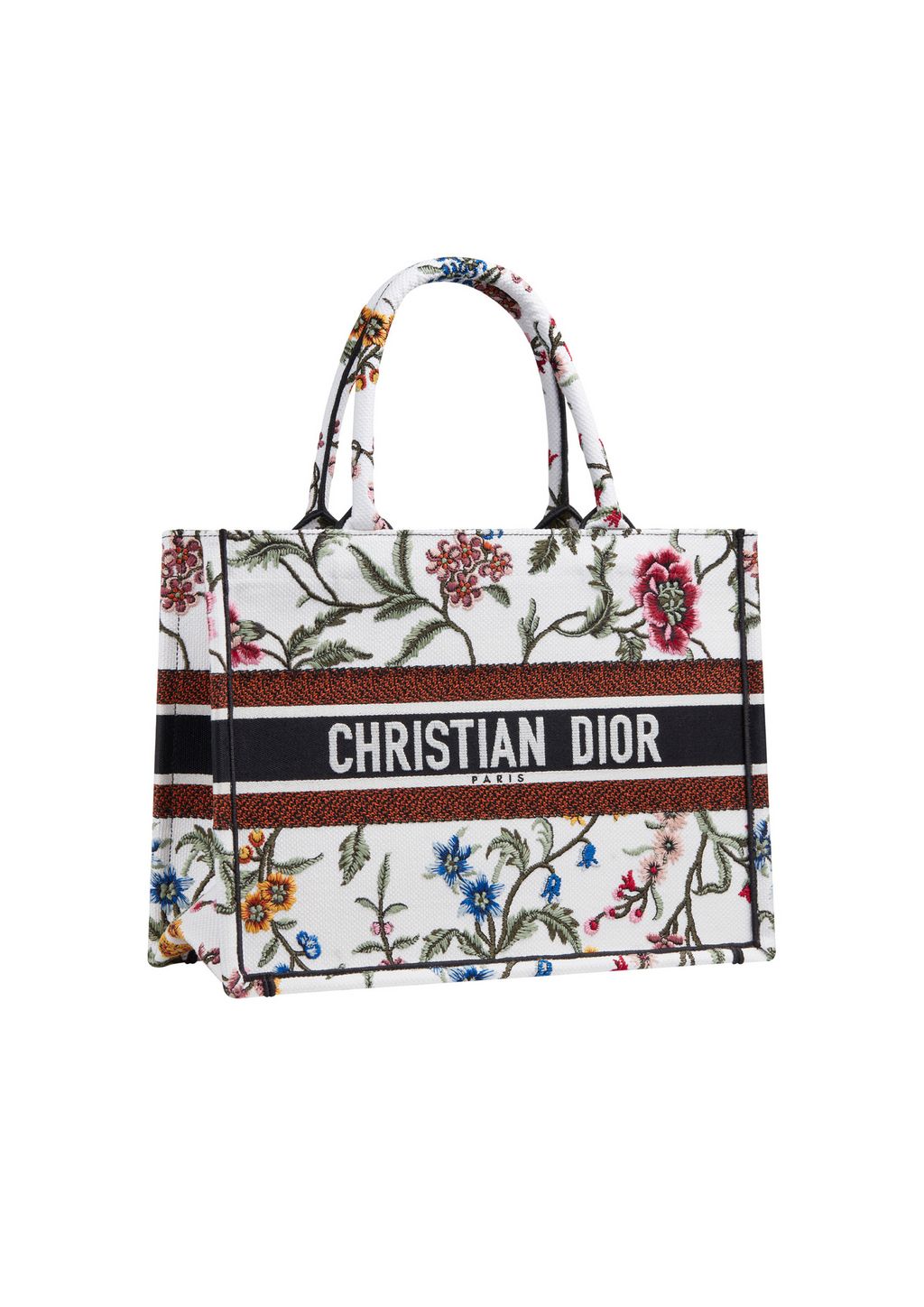 Fashion Week Paris Spring/Summer 2023 look 9 de la collection Christian Dior womenswear accessories