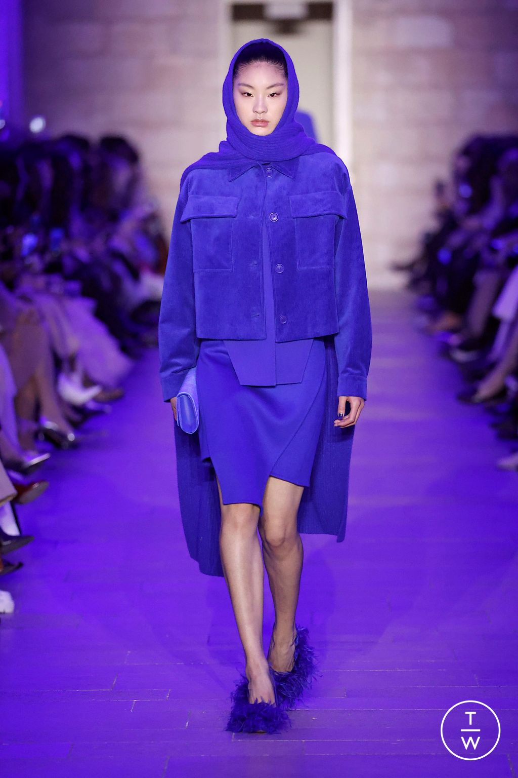 Fashion Week Paris Fall/Winter 2025 look 15 de la collection Akris womenswear