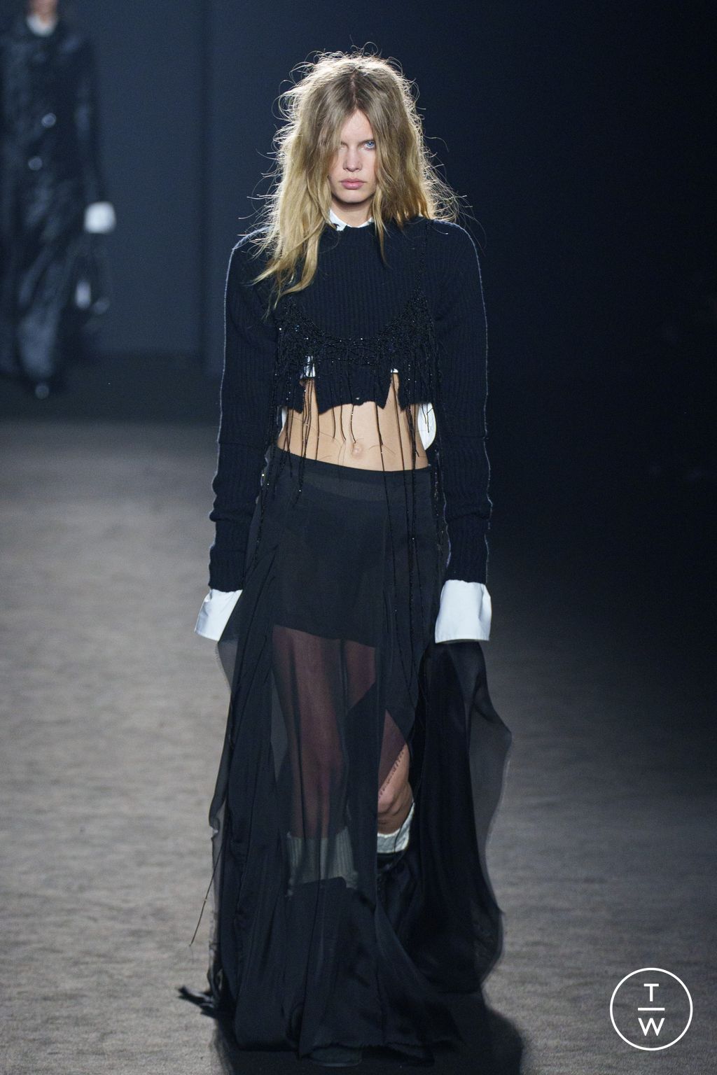 Fashion Week Paris Fall/Winter 2024 look 38 de la collection Ann Demeulemeester womenswear