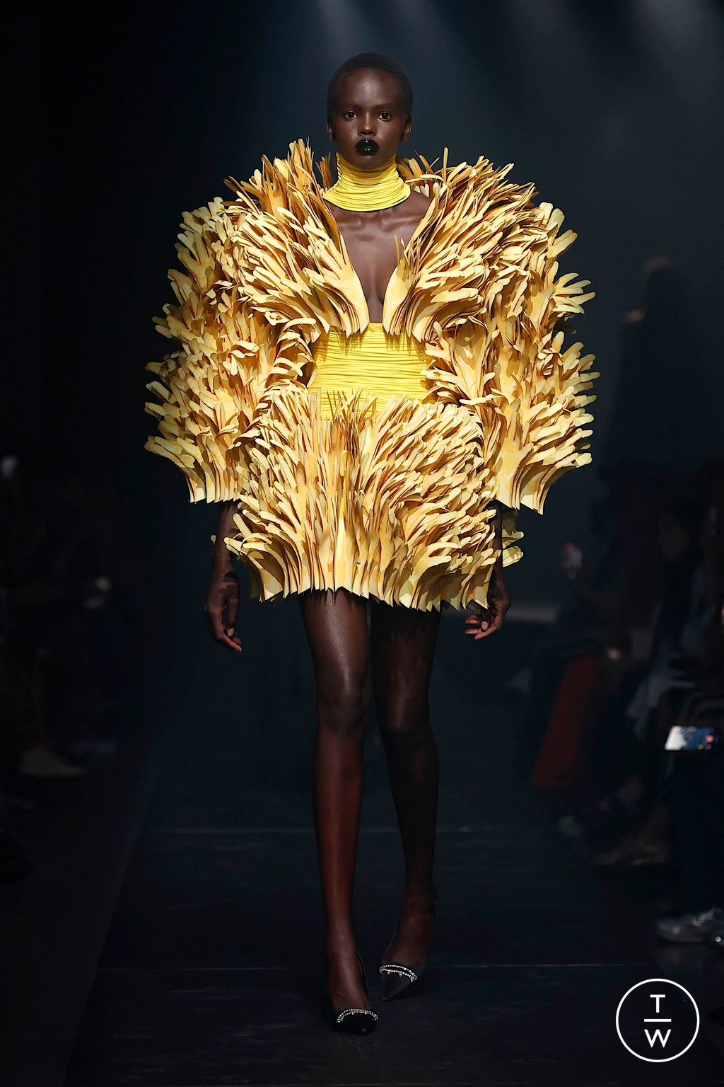 Fashion Week New York Fall/Winter 2024 look 34 from the Area collection womenswear