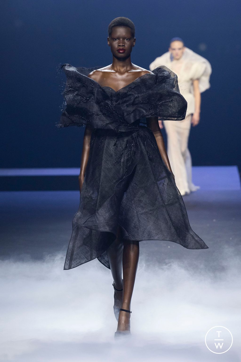 Fashion Week Paris Fall/Winter 2023 look 22 from the Ashi Studio collection couture