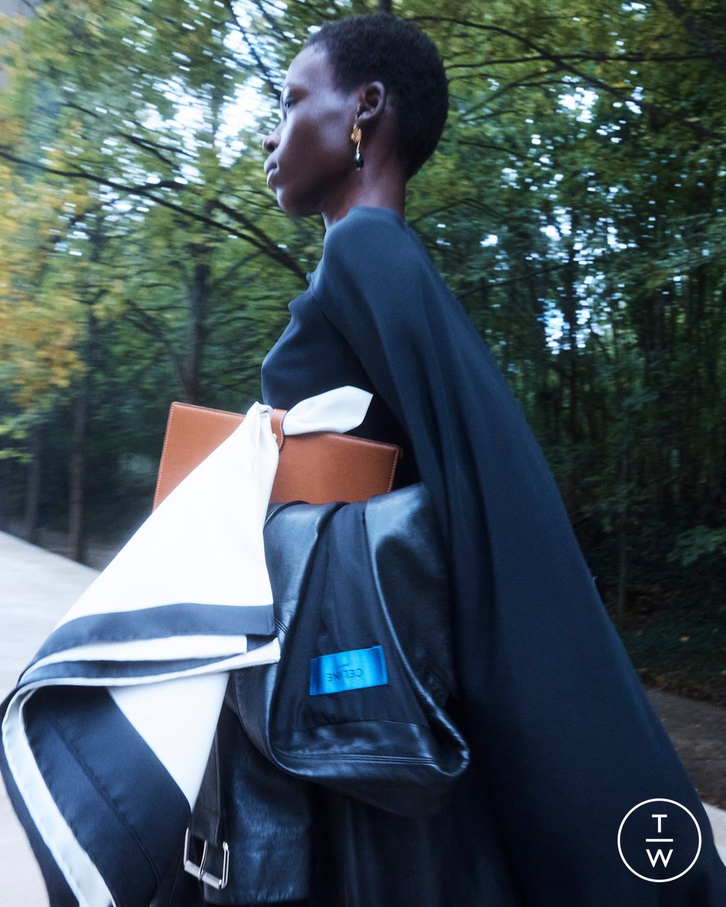 Fashion Week Paris Spring/Summer 2026 look 19 from the Celine collection womenswear accessories