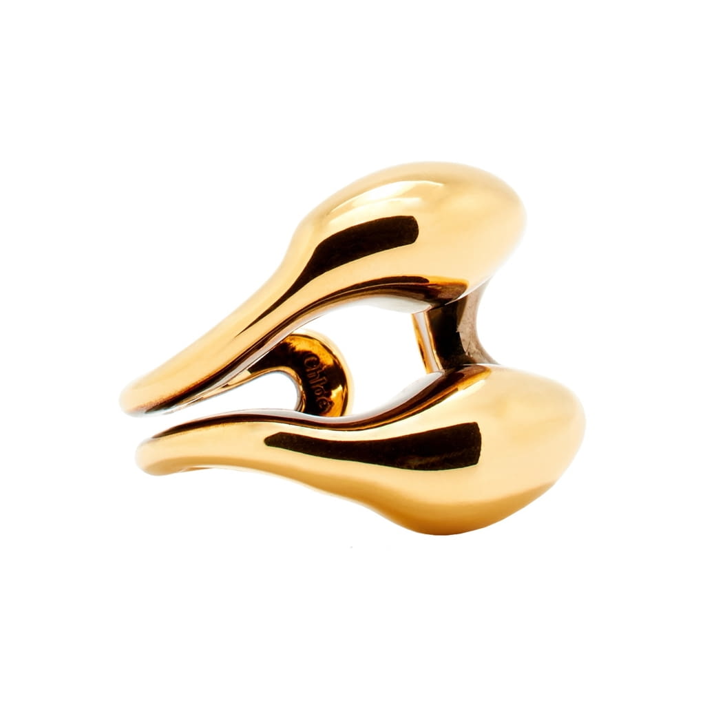 Fashion Week Paris Spring/Summer 2021 look 53 from the Chloé collection womenswear accessories