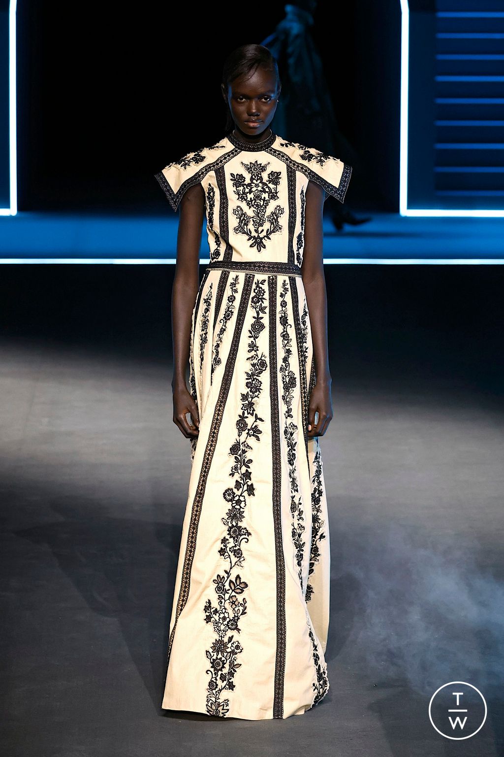 Fashion Week Paris Fall/Winter 2025 look 66 from the Dior collection womenswear